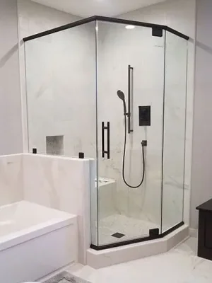 Neo Angle Shower Door